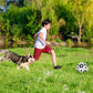 🐕Zabawka do piłki nożnej dla psa⚽