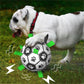 🐕Zabawka do piłki nożnej dla psa⚽